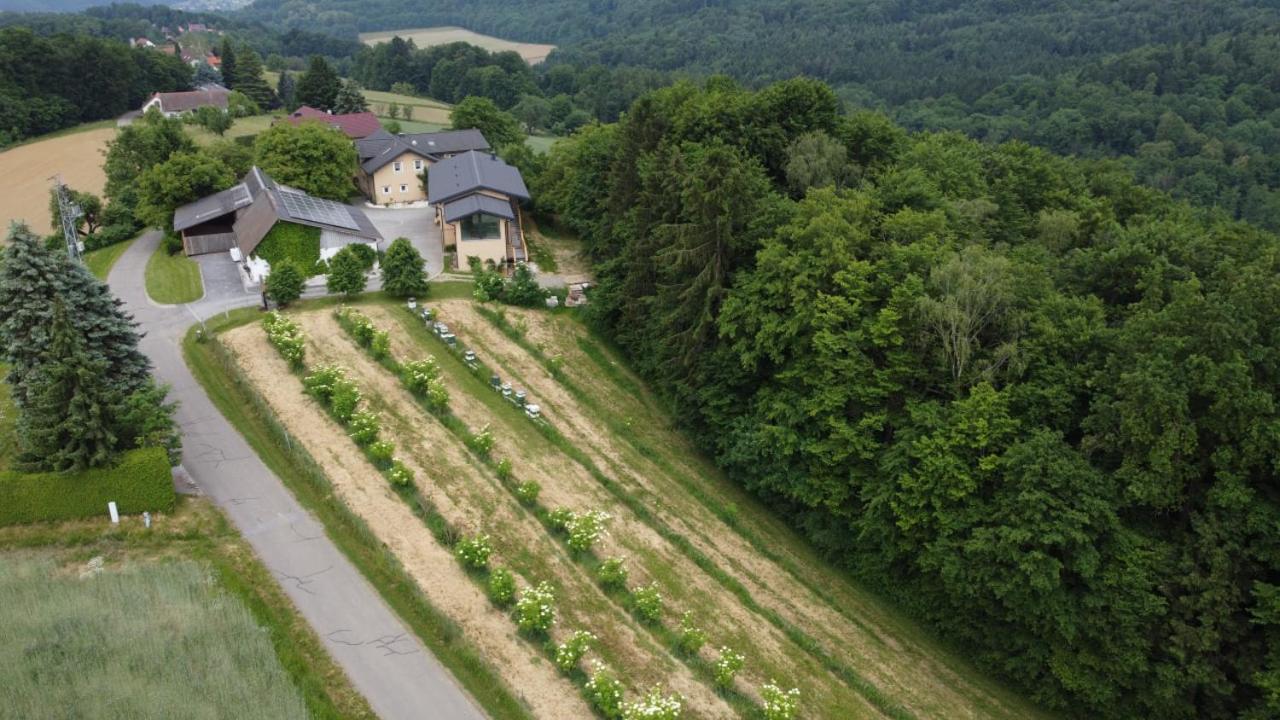 דירות Kirchbach in Steiermark Beim Bergjosl מראה חיצוני תמונה