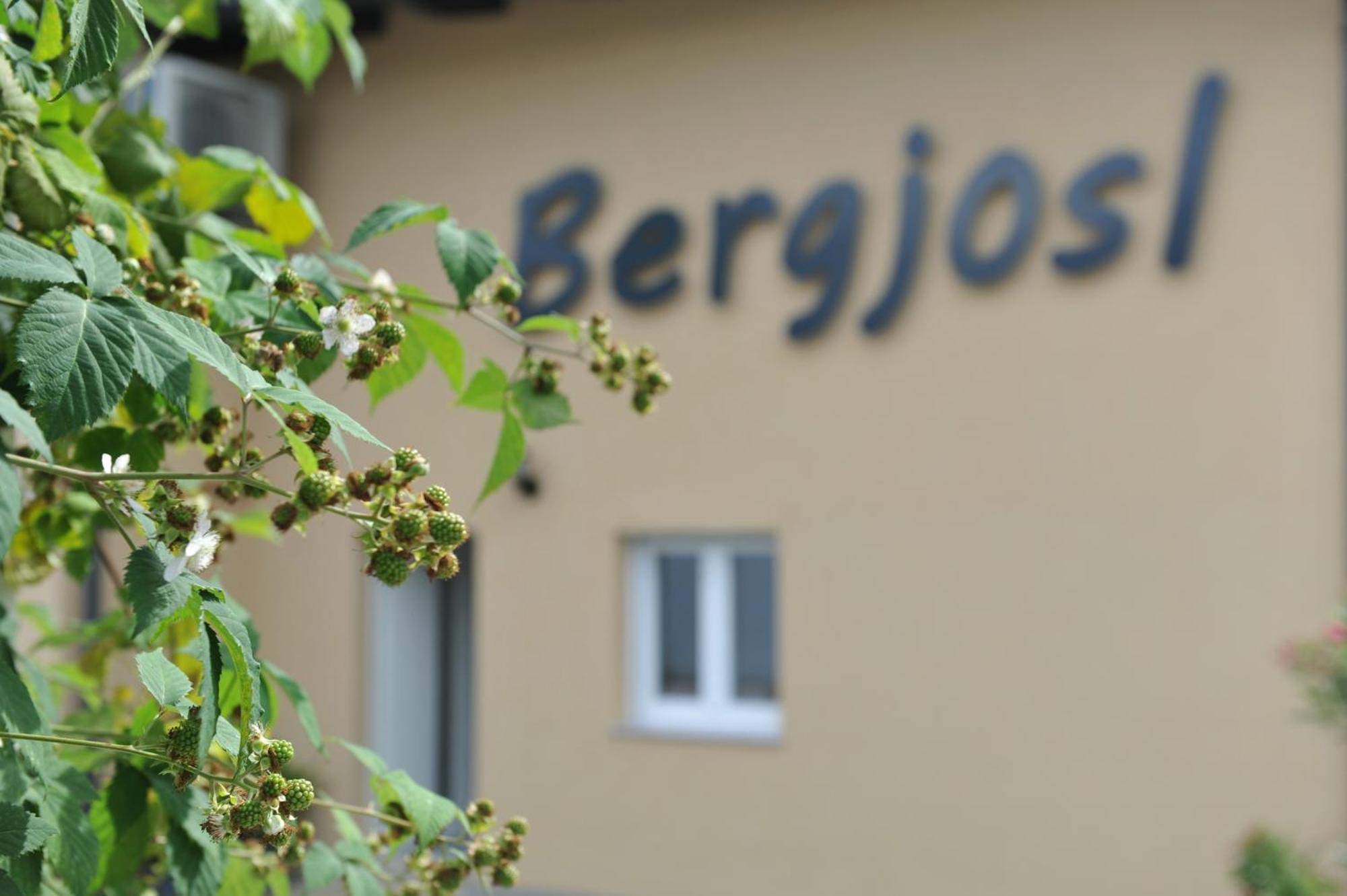 דירות Kirchbach in Steiermark Beim Bergjosl מראה חיצוני תמונה